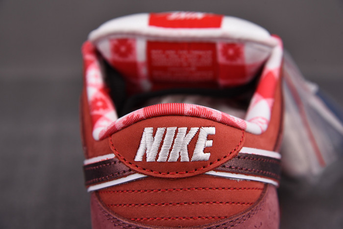 nike sb dunk low concepts red lobster 313170-661